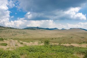 dobro_pole_02