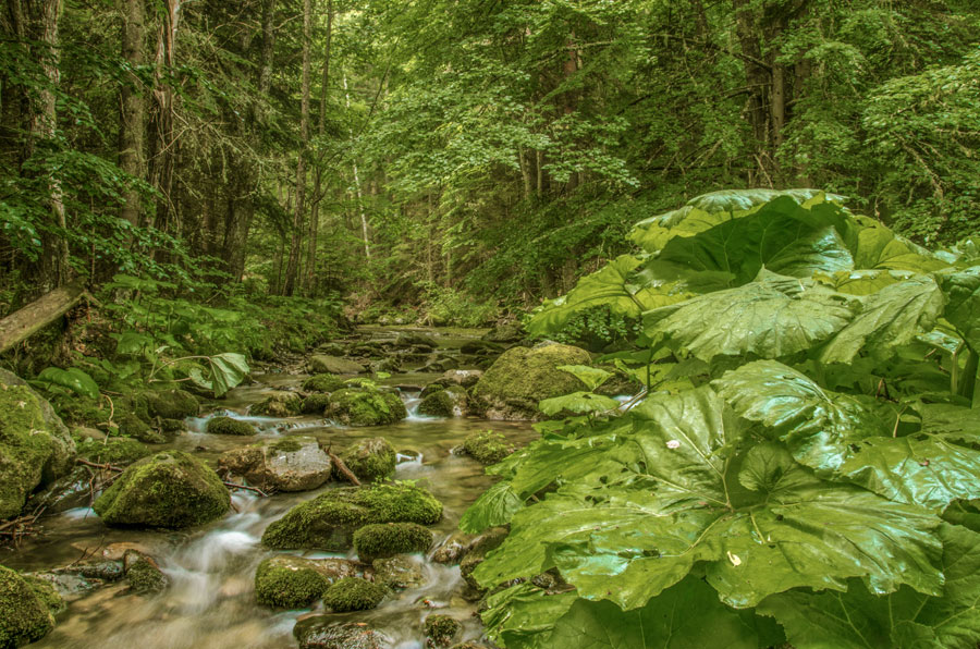 Gradeshka River, Mariovo