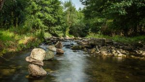 Natural rarities of Mariovo region