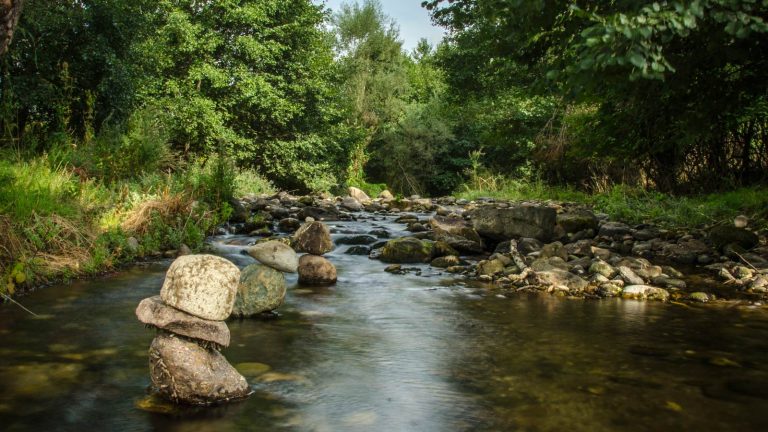 Natural rarities of Mariovo region
