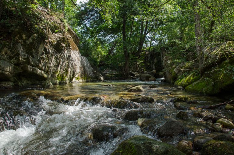 Temnichki whirlpool, village Gradeshnica